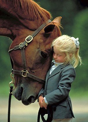 The Healing Horse-Human Connection and Emotional Bond